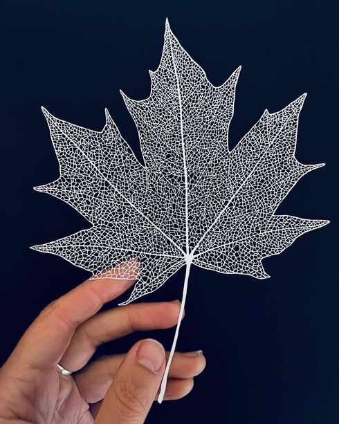 MAUDEさん切り絵作品01