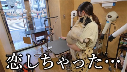 オススメ