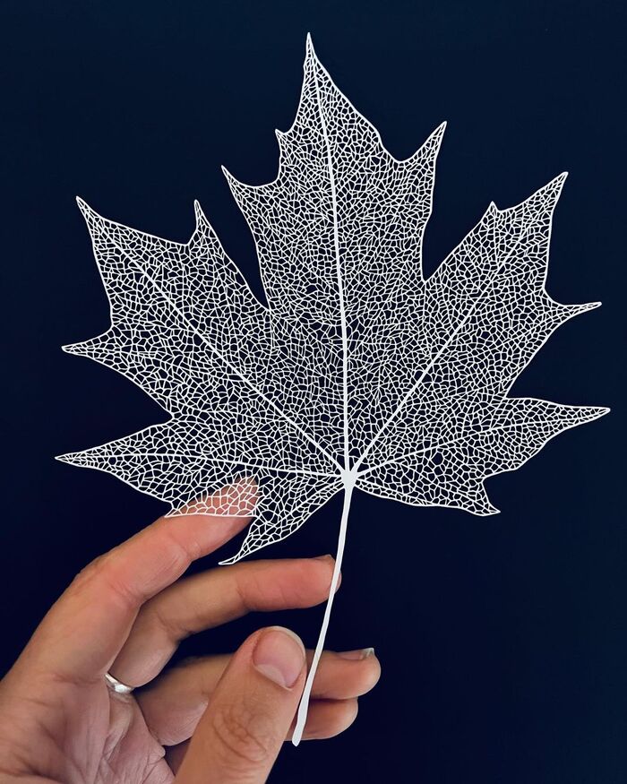 葉脈や羽、シワもくっきり　「お見事！」「本当にかっこいい」　米アーティストの繊細すぎる切り絵アートが美しくてステキ