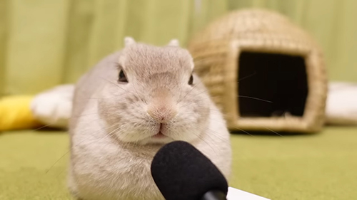 マイクを向けてみた