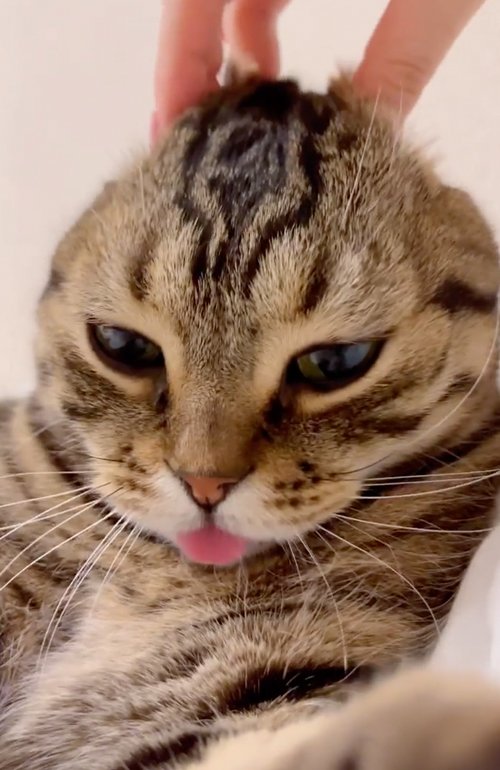 よくべろ出ちゃう