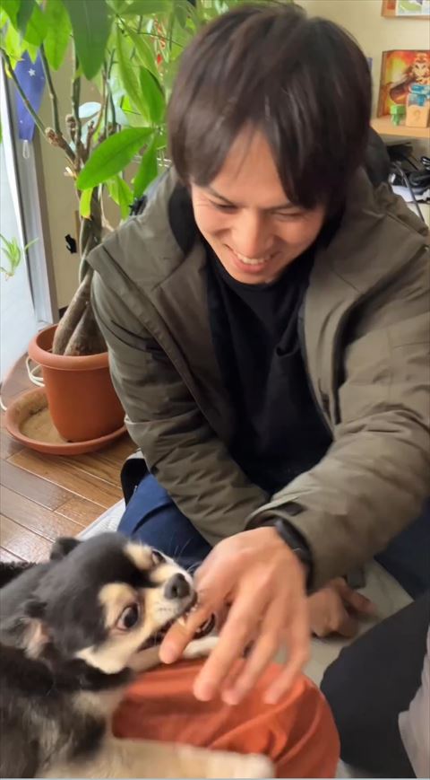 左手かまれるパパさん