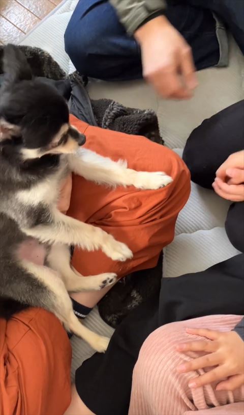 奥から手をだそうとする人