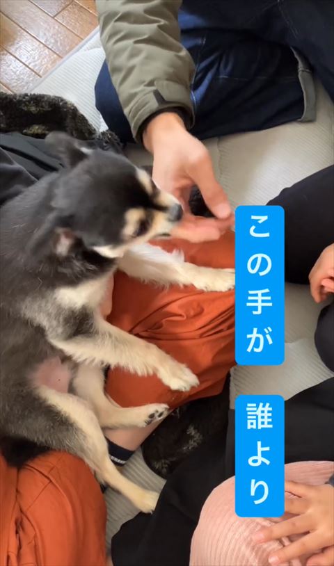 指をかむワンコ