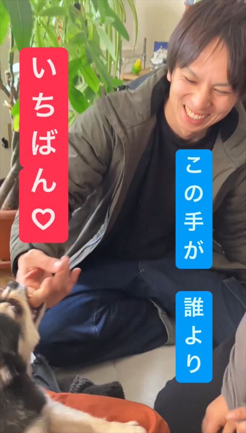 右手かまれて笑顔のパパさん