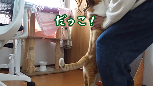 だっこ
