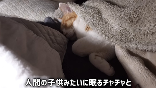 眠るチャチャくん