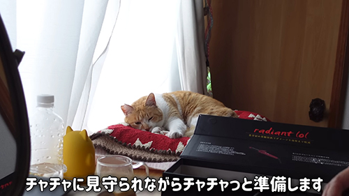 見守られながら