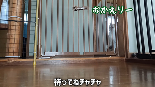 おかえりー