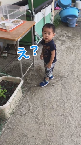 「2歳の時のおいっこの衝撃のラスト」