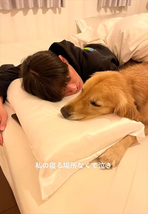 うつ伏せ寝パパとワンコアップ