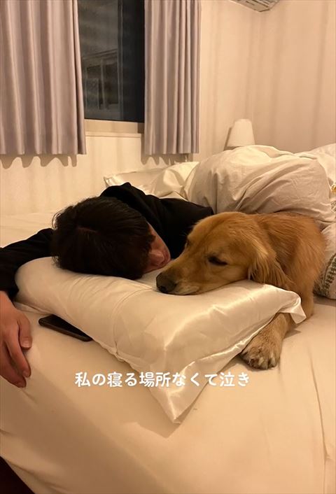 うつ伏せ寝パパとワンコ