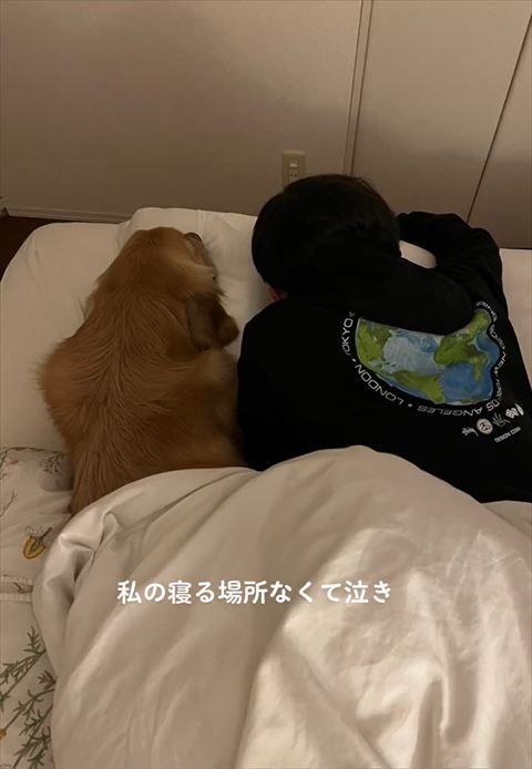 うつ伏せ寝パパとワンコ後ろ姿