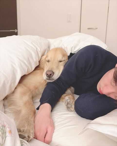 パパの腕の顔乗せて寝るワンコ