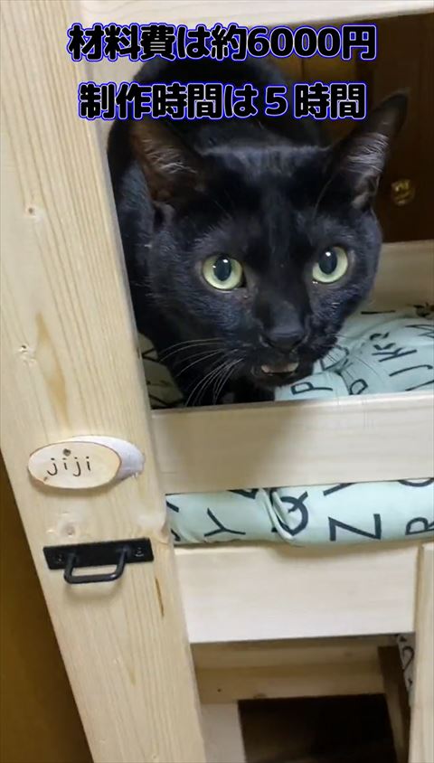 タワー黒猫アップ