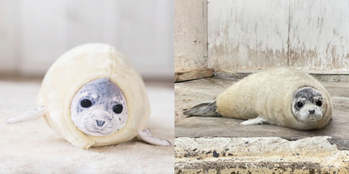 エビフライアザラシのクッションと本物の比較