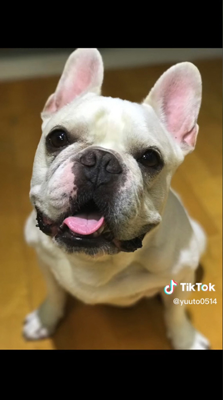 見上げるエースくん