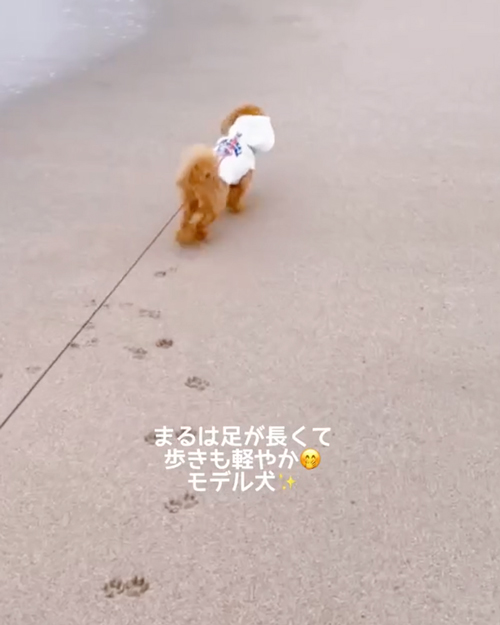 まるくんとしーちゃん