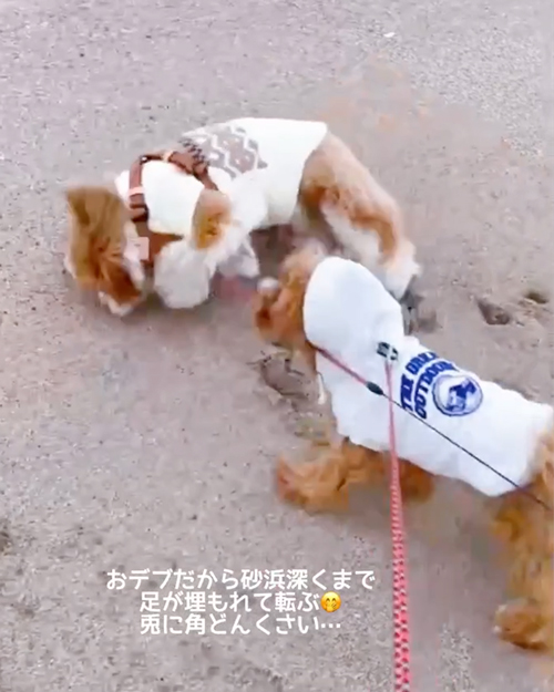 まるくんとしーちゃん