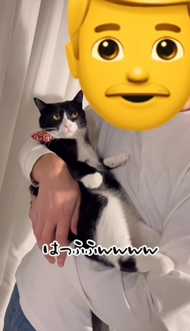 ふっふっふテロップ