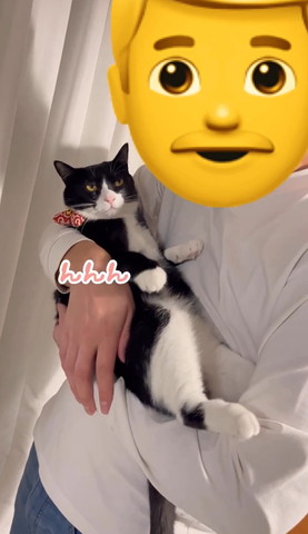 んんんテロップ
