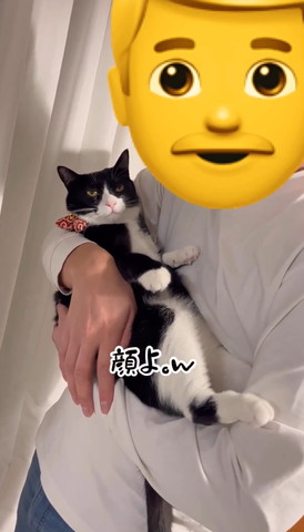 顔よテロップ