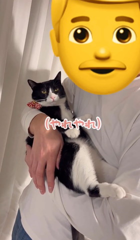 やれやれテロップ