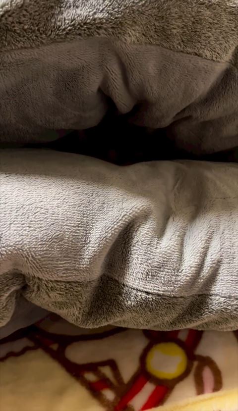 布団の隙間