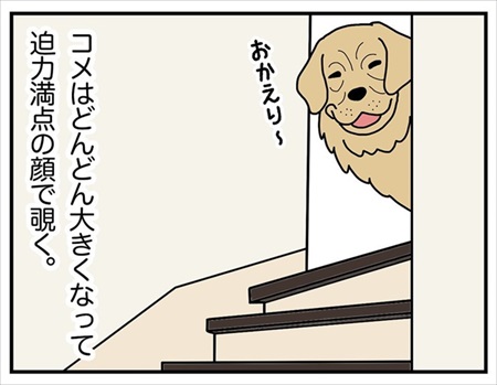 見上げるとそこに見下ろす顔がある幸せ