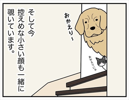 見上げるとそこに見下ろす顔がある幸せ