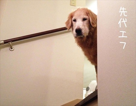 見上げるとそこに見下ろす顔がある幸せ