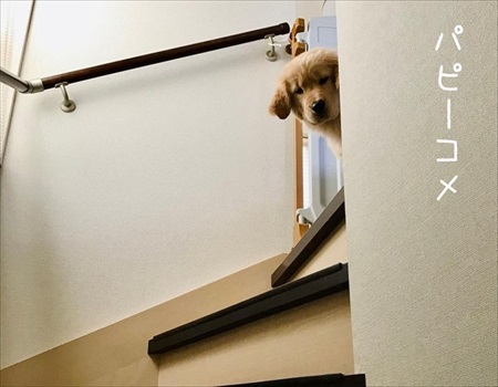 見上げるとそこに見下ろす顔がある幸せ