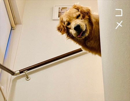 見上げるとそこに見下ろす顔がある幸せ