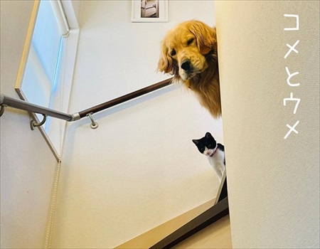 見上げるとそこに見下ろす顔がある幸せ