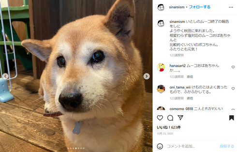 みずしな孝之Instagram