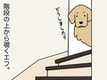 【漫画】階段を見上げると愛犬が見下ろす光景……　先代犬からつながる“毎日の当たり前”が大きな幸せを運んでくれる