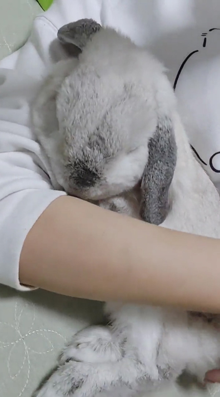 腕に顔を近づけるむみくん