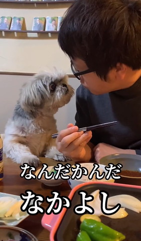 なんだかんだ仲良しテロップ