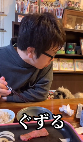 ぐずるテロップワンコに話しかける父ちゃん