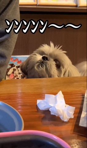 ンンンン〜テロップ