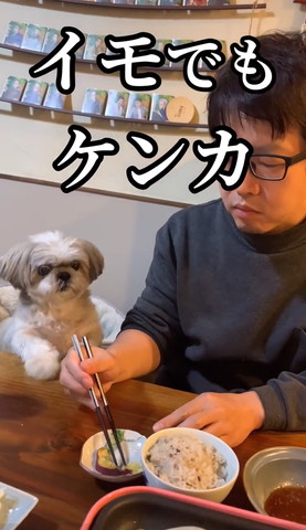 イモでもケンカテロップ