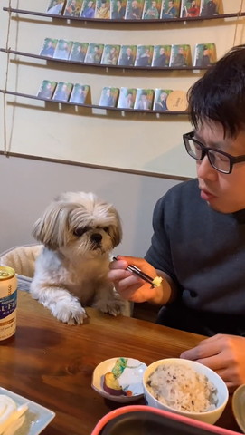 芋を箸でつかむ父ちゃん