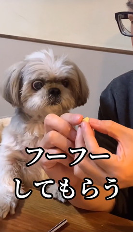 フーフーしてもらう