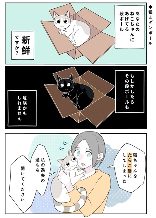 段ボールにアレルギー反応を起こした猫
