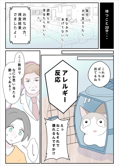 段ボールにアレルギー反応を起こした猫