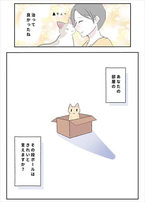 段ボールにアレルギー反応を起こした猫