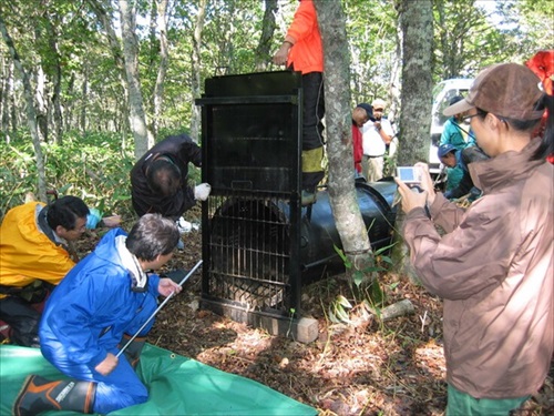 北大クマ研究のクラファン