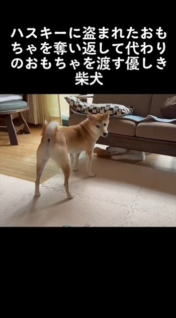 オススメ