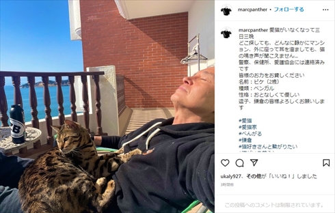 行方不明になっているマーク・パンサーの愛猫