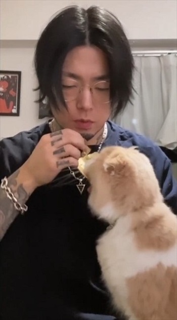 飼い主を見つめる猫ちゃん